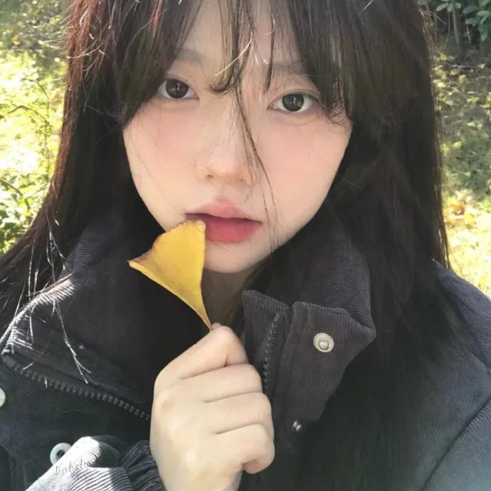 鉴你所见:花露森林